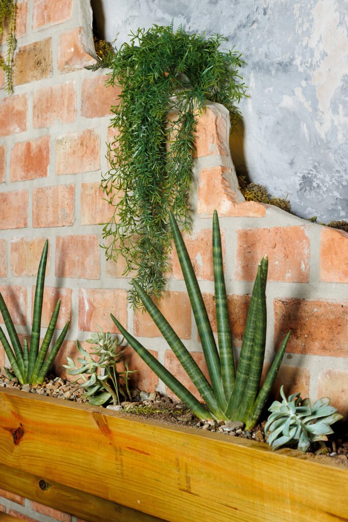 Finca La Zafra Finca La Zafra