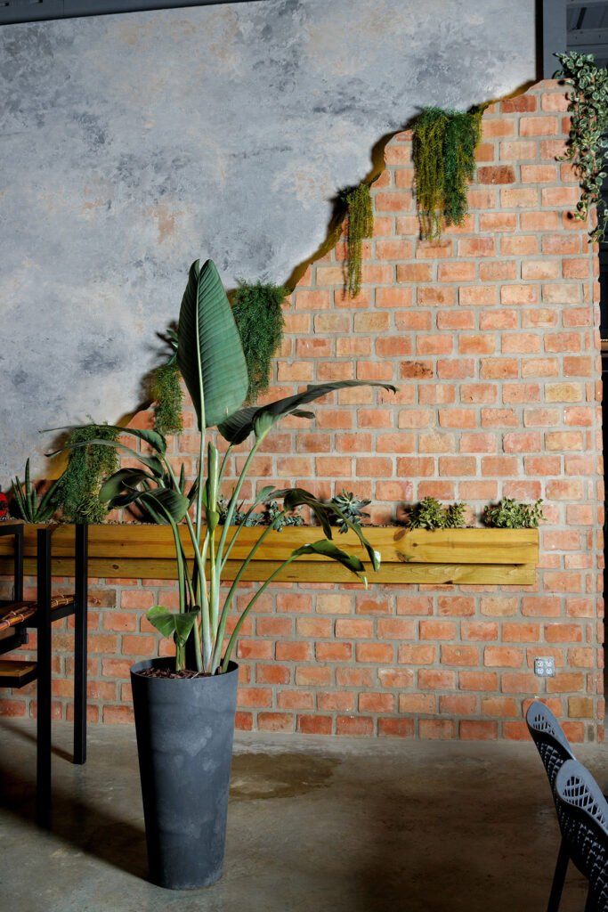 Finca La Zafra Finca La Zafra